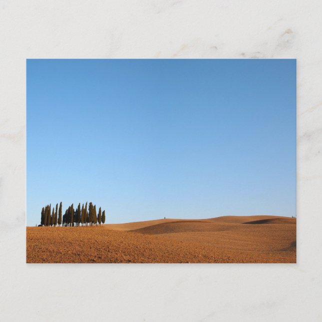 Paisaje toscano con postal de cipreses (Anverso)