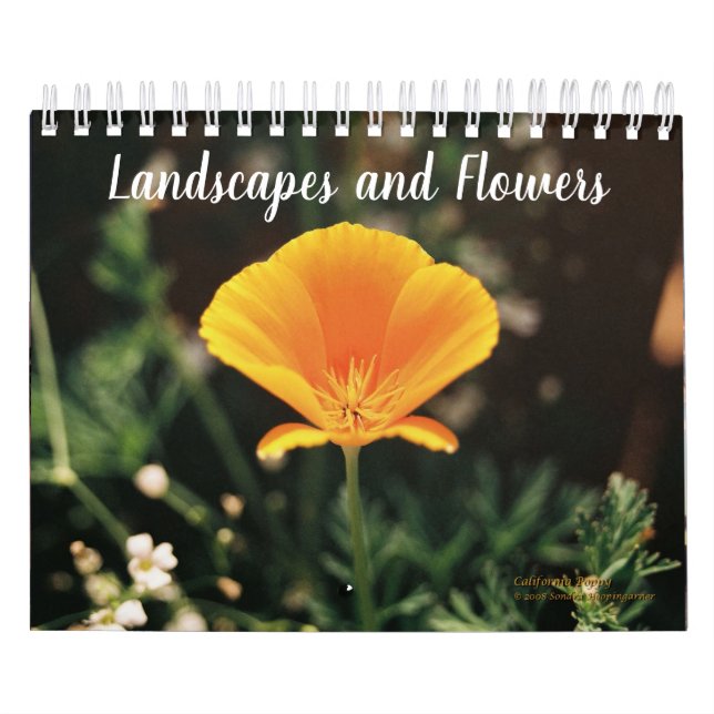 Paisaje y calendario de las flores (Tapa)