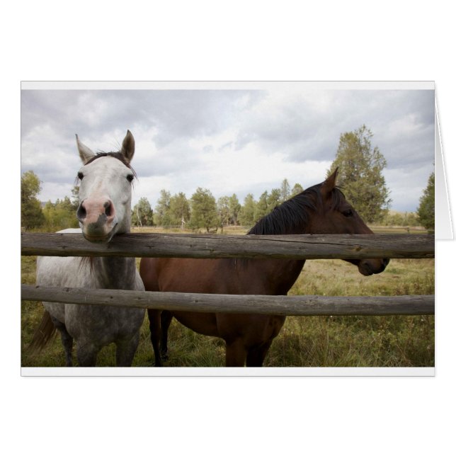 PAISAJES DE PAÍSES (Anverso (Horizontal))