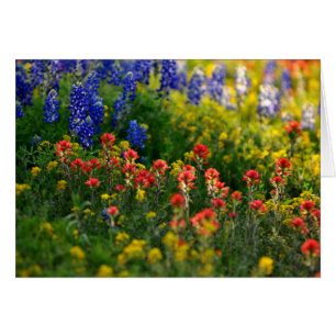 Paisajes del Bluebonnet