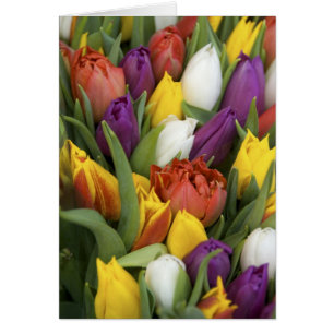 Países Bajos, Holanda del Sur, Amsterdam