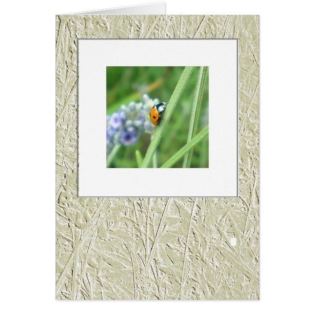 Pajarito en el tallo (Frente)