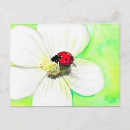 Pajarito en una postal de pintura de flores blanca