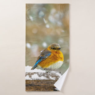 Pájaro azul oriental en nieve - Fotografía origina