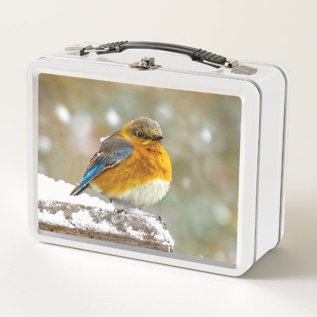 Pájaro azul oriental en nieve - Fotografía origina (Anverso)