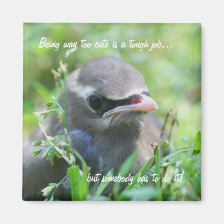 Pájaro Bebé Demasiado lindo y gracioso imán natura