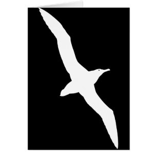 Pájaro blanco del albatros en vuelo