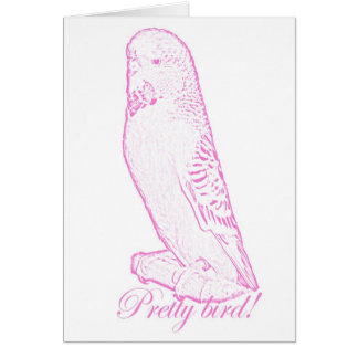 Pájaro bonito en tarjeta rosada