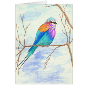 Pájaro bonito, rodillo de Breasted de la lila,