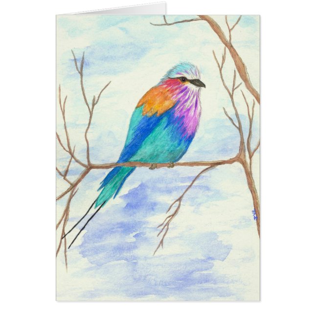 Pájaro bonito, rodillo de Breasted de la lila, (Frente)