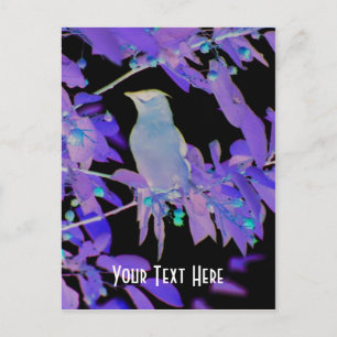 Pájaro brillante en postal de Personalizable de su