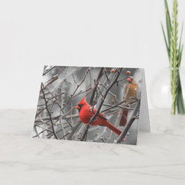 Pájaro cardinal, tarjeta