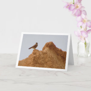 Pájaro común de cernícalo de cernícalo, tarjeta Fa