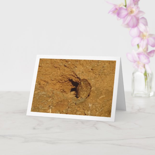 Pájaro común de cernícalo de cernícalo, tarjeta Fa (Orquídea)