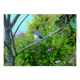 Pájaro de bebé flameado de tiburón