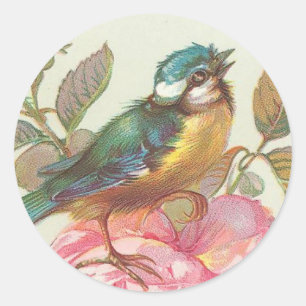Pájaro de bonito vintage sobre pegatinas de flores