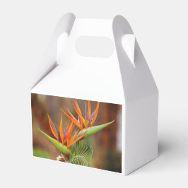 Pájaro de cajas de favores paraísos