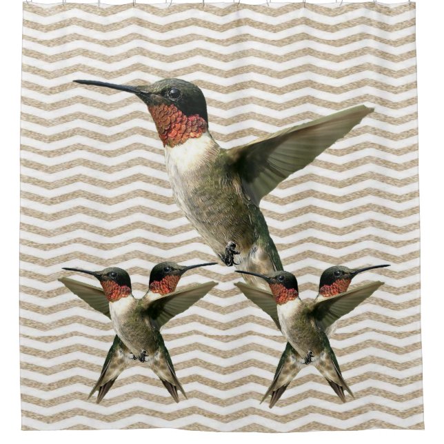 Pájaro de cortina de ducha (Anverso)