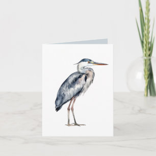 Pájaro de garza azul costera
