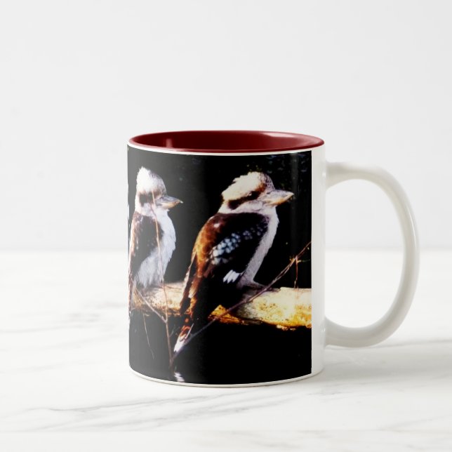 Pájaro de Kookaburra que recolecta la taza (Derecha)