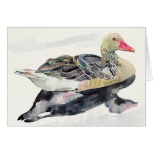 Pájaro de la acuarela del drenaje de la mano, pat