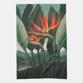 Pájaro de la cocina del paraíso Toalla