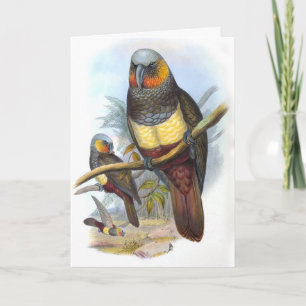 Pájaro de loro vintage PE_GC - Tarjeta de nota en 