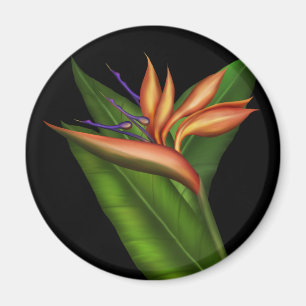 Pájaro De Paraíso Imán Completo