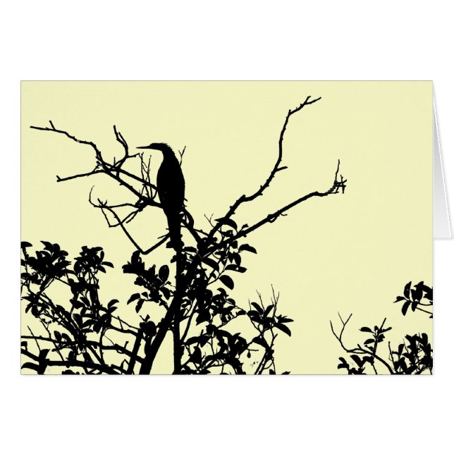 Pájaro del Anhinga (Anverso (Horizontal))
