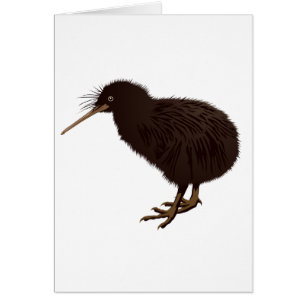 Pájaro del kiwi