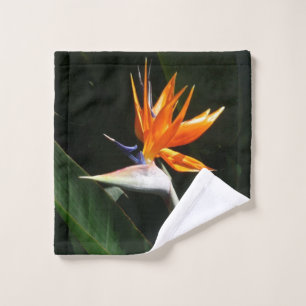 Pájaro del Naranja del paraíso Flor tropical