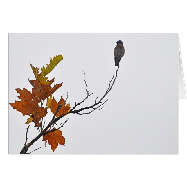 Pájaro del otoño (Anverso (Horizontal))