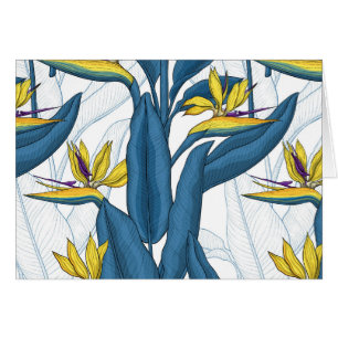 Pájaro del paraíso flores en blanco