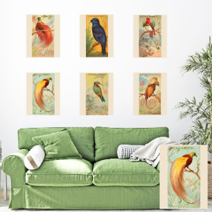 Pájaro del paraíso, galería de arte mural conjunto