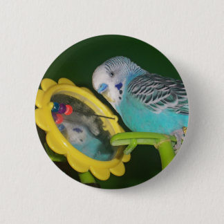 ¡Pájaro del Parakeet en el botón preferido del