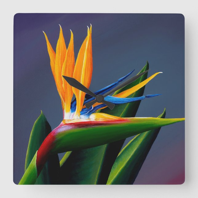 Pájaro del reloj del paraíso (Anverso)