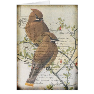 Pájaro del vintage
