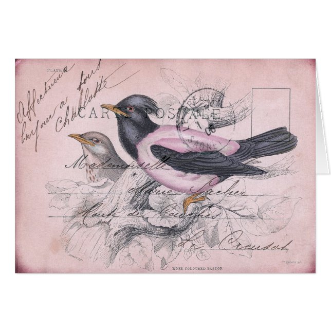 Pájaro del vintage (Anverso (Horizontal))