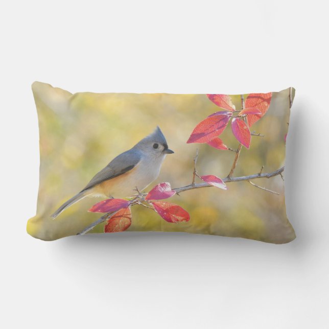 Pájaro en el Cojín decorativo Lumbar (Anverso)