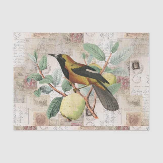 Pájaro en el papel seda de Roma del italiano del (Anverso)