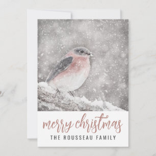 Pájaro En Nieve De Invierno Feliz Navidad