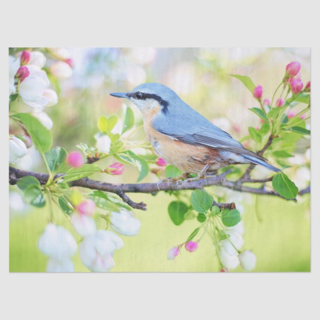 pájaro en papel tisular de primavera (Anverso)