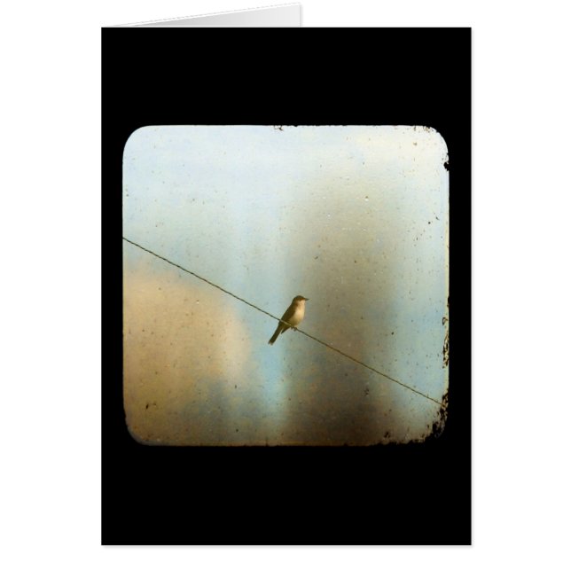 Pájaro en un cable (Frente)