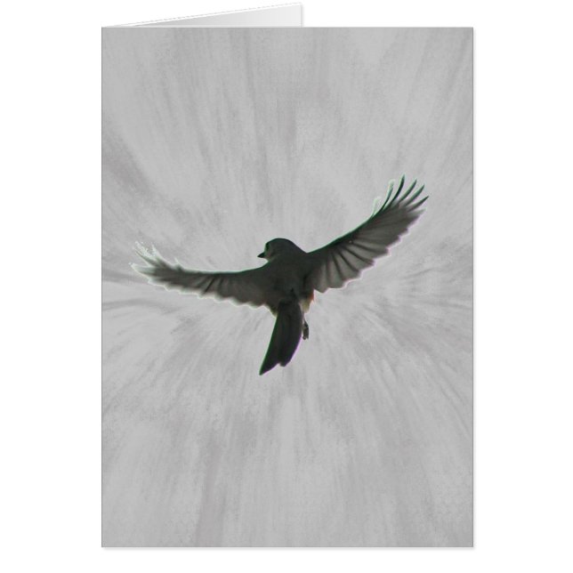 Pájaro en vuelo (Frente)