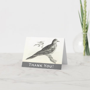 Pájaro encaramado en una sucursal Gracias tarjeta