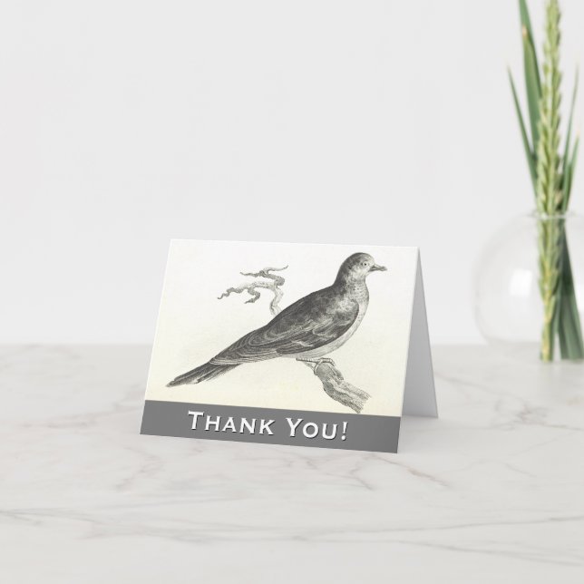 Pájaro encaramado en una sucursal Gracias tarjeta  (Anverso)