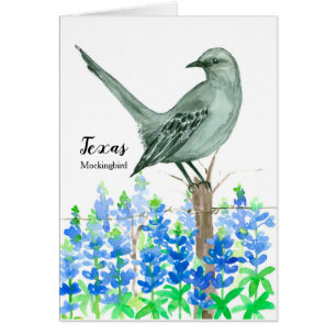 Pájaro estatal de Texas Mockingbird acuarela en bl