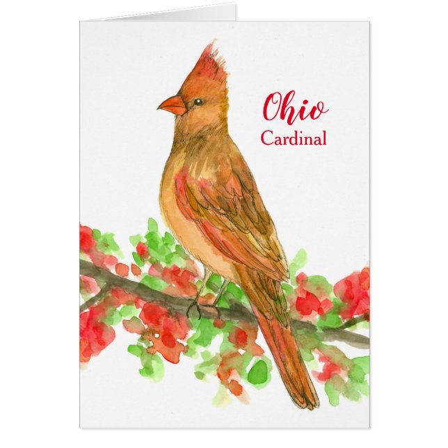 Pájaro estatal del cardenal de Ohio Blank (Frente)