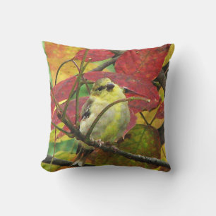 Pájaro Goldfinch en la almohada exterior de otoño