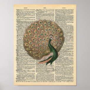Pájaro hermoso del pavo real del arte del